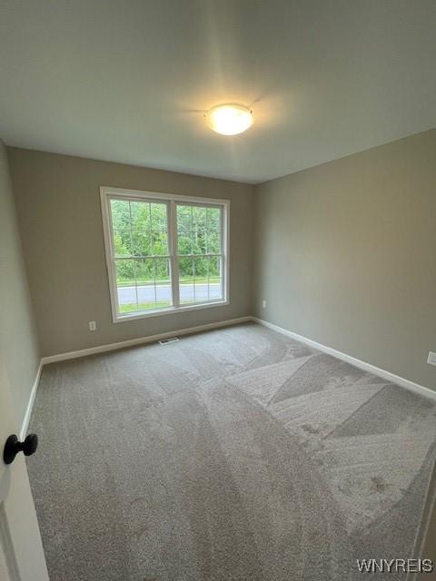 6469 Pincherry Way, Hamburg, NY 14085 - photo 16