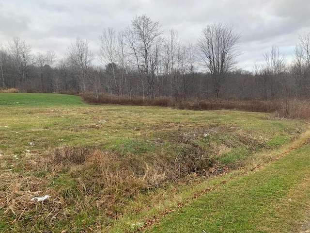0 Phillips Odell Rd, Guilford, NY 13809 - photo 2