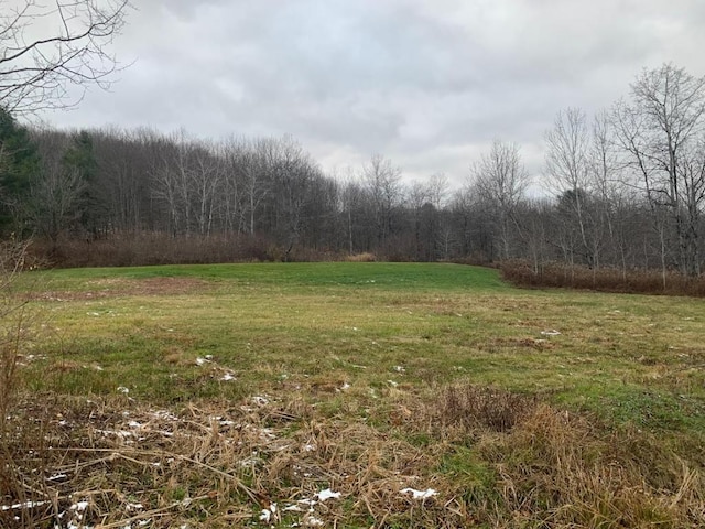 0 Phillips Odell Rd, Guilford, NY 13809 - photo 1