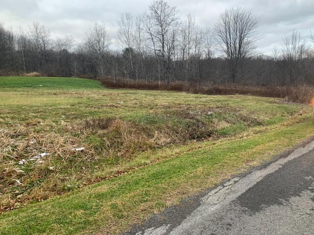 0 Phillips Odell Rd, Guilford, NY 13809 - photo 3