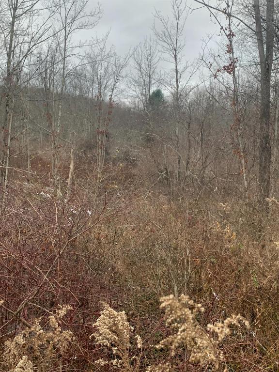 0 Phillips Odell Rd, Guilford, NY 13809 - photo 5