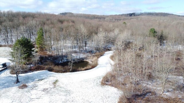 0 Phillips Odell Rd, Guilford, NY 13809 - photo 8