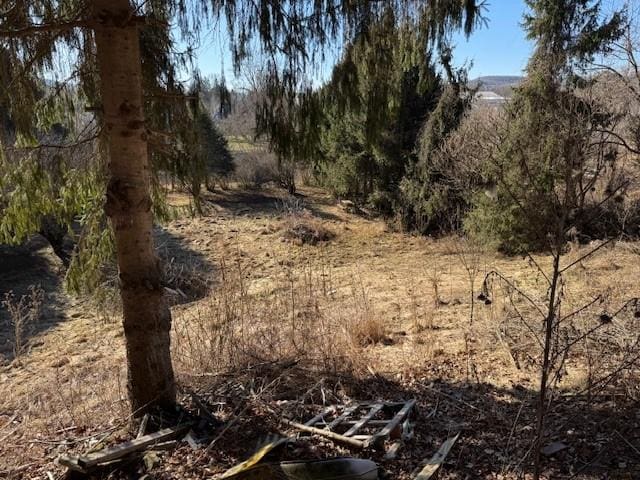 140 E State St, Wellsville, NY 14895 - photo 12