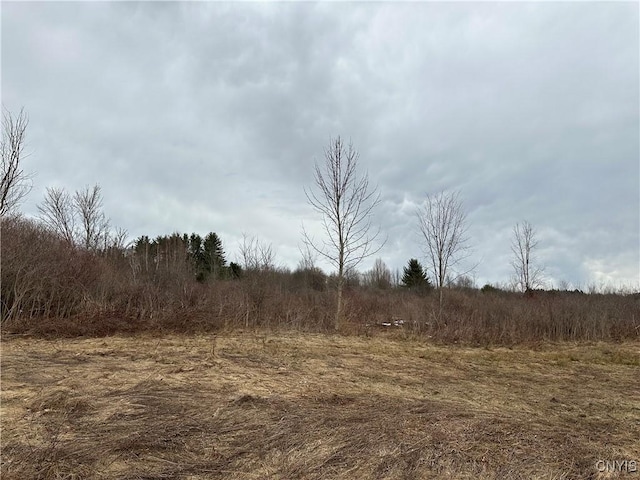 9853 Hazard Rd, Marcy, NY 13403 - photo 18