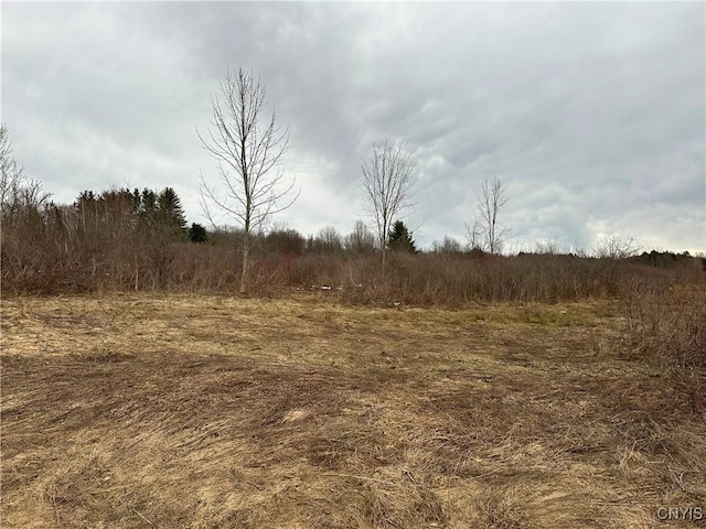 9853 Hazard Rd, Marcy, NY 13403 - photo 19