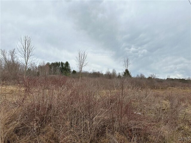 9853 Hazard Rd, Marcy, NY 13403 - photo 20