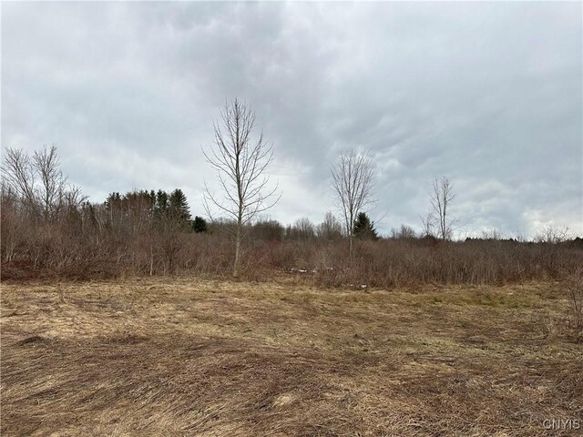 9853 Hazard Rd, Marcy, NY 13403 - photo 21