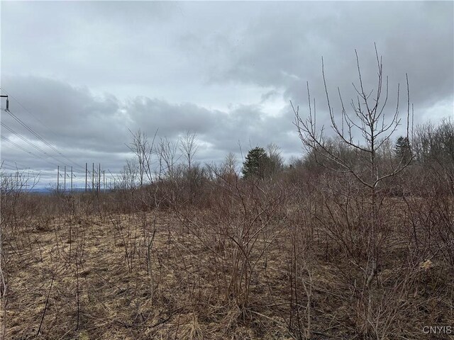 9853 Hazard Rd, Marcy, NY 13403 - photo 24
