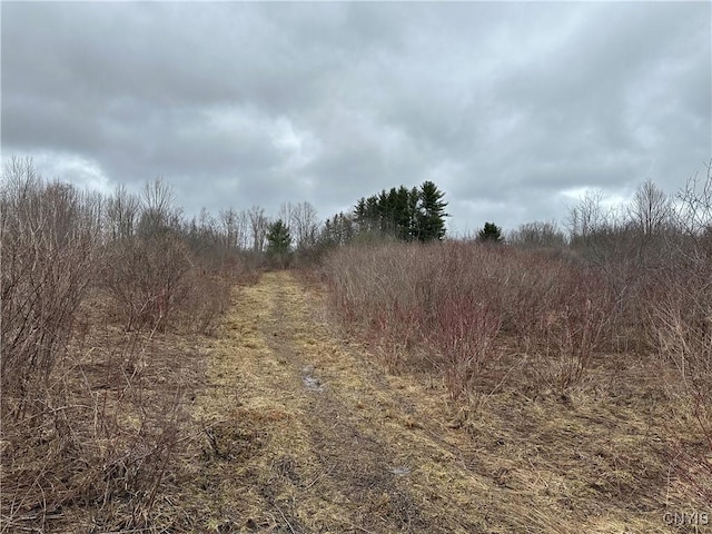 9853 Hazard Rd, Marcy, NY 13403 - photo 26