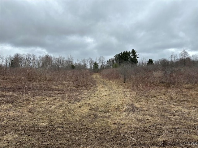 9853 Hazard Rd, Marcy, NY 13403 - photo 27