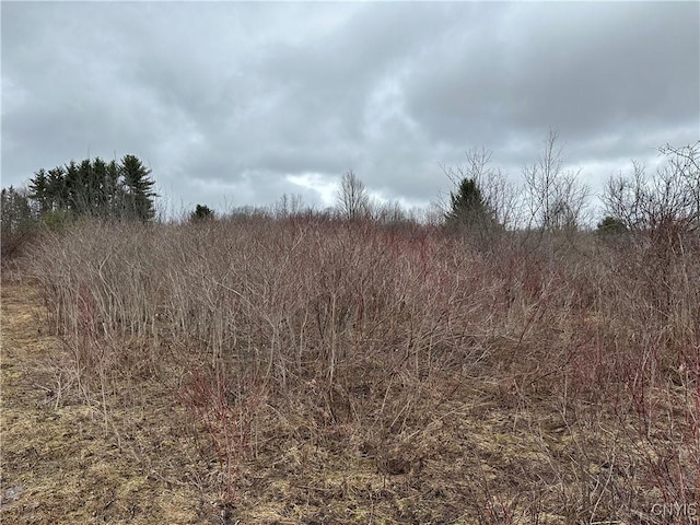 9853 Hazard Rd, Marcy, NY 13403 - photo 29