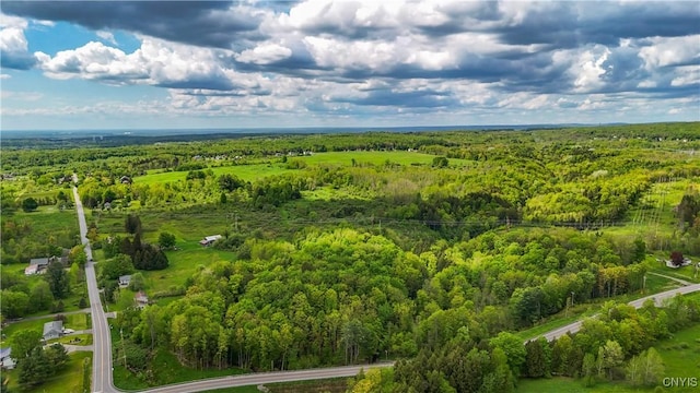 9853 Hazard Rd, Marcy, NY 13403 - photo 4