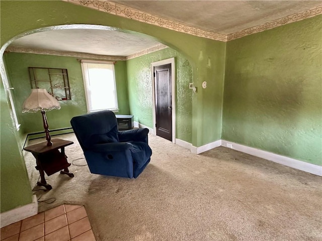 7 Hedgehog Ln, Bradford-Town, PA 16701 - living area featuring arched walkways, a textured wall, a baseboard heating unit, carpet flooring, and baseboards