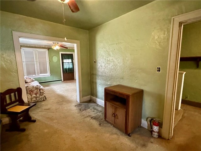 7 Hedgehog Ln, Bradford-Town, PA 16701 - corridor featuring carpet floors and baseboards