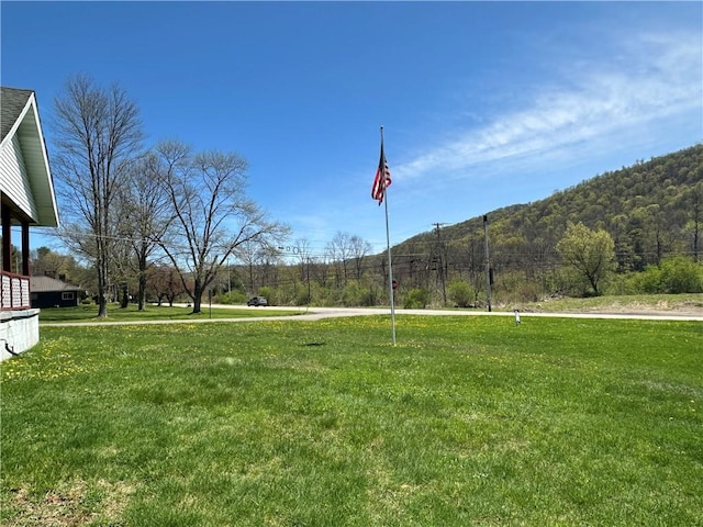 7 Hedgehog Ln, Bradford-Town, PA 16701 - view of grassy yard