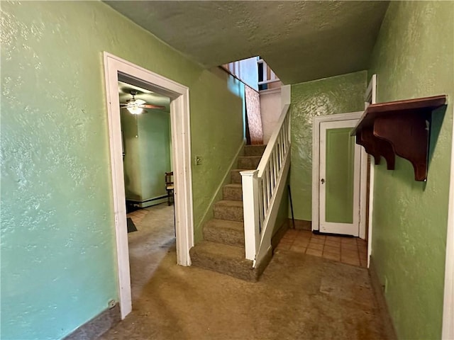 7 Hedgehog Ln, Bradford Town, PA 16701 - photo 27