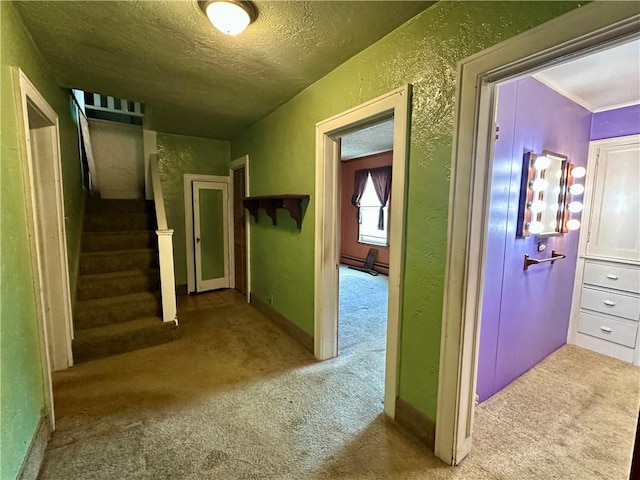 7 Hedgehog Ln, Bradford Town, PA 16701 - photo 28