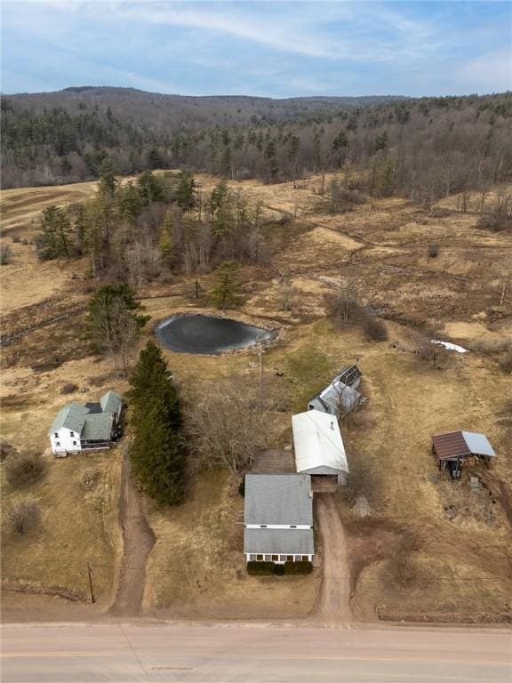 7317 County Highway 33, Kortright, NY 13739 - drone / aerial view with a rural view and a forest view