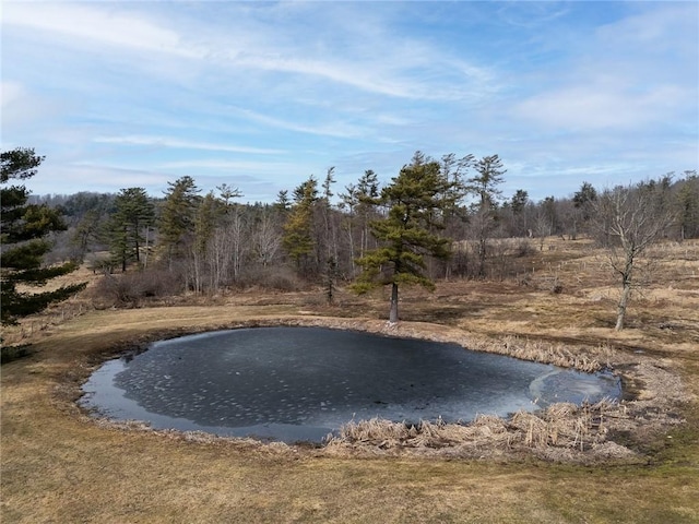 7317 County Highway 33, Kortright, NY 13739 - property view of water featuring a wooded view