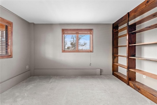 7317 County Highway 33, Kortright, NY 13739 - spare room featuring carpet floors