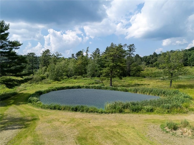 7317 County Highway 33, Kortright, NY 13739 - photo 4
