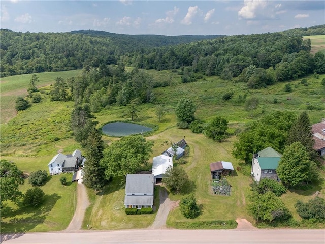 7317 County Highway 33, Kortright, NY 13739 - photo 35