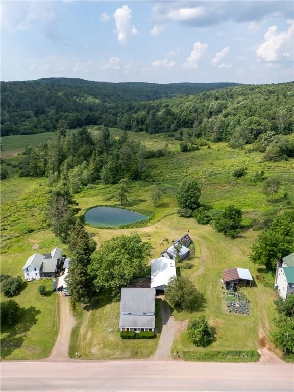 7317 County Highway 33, Kortright, NY 13739 - photo 36
