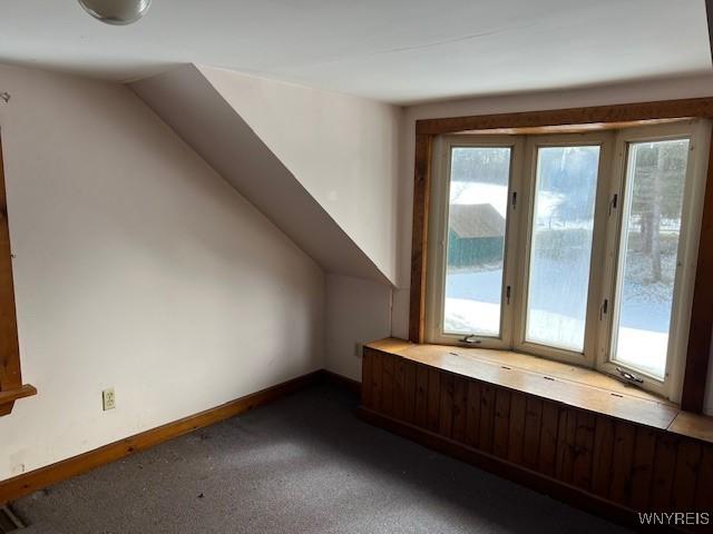additional living space featuring baseboards and dark carpet