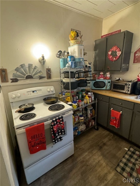 163 E 9th St, Oswego-City, NY 13126 - kitchen featuring ornamental molding, a toaster, white electric range oven, dark wood-type flooring, and light countertops