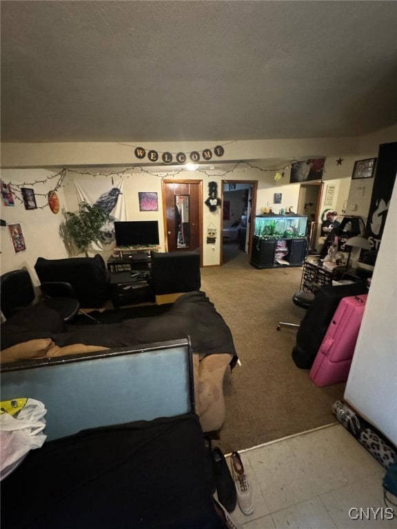 163 E 9th St, Oswego-City, NY 13126 - living room with carpet floors