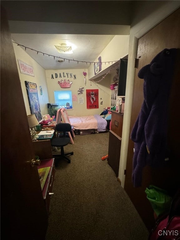 163 E 9th St, Oswego-City, NY 13126 - bedroom featuring carpet