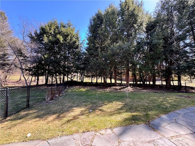4 Ravine Park N, Oneonta-City, NY 13820 - view of fenced backyard