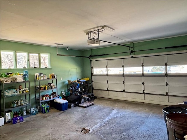 4 Ravine Park N, Oneonta-City, NY 13820 - garage featuring a garage door opener