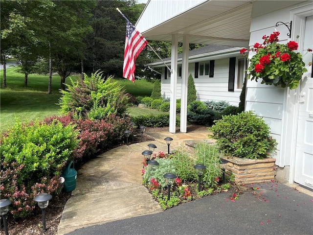 4 Ravine Park N, Oneonta-City, NY 13820 - view of yard