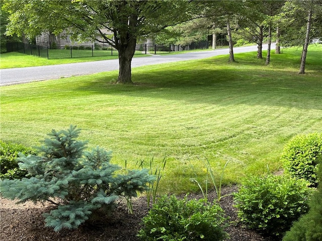 4 Ravine Park N, Oneonta-City, NY 13820 - view of yard with curved driveway