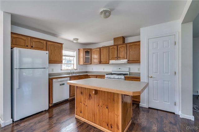 36194 State Route 180, Orleans, NY 13656 - kitchen featuring under cabinet range hood, a sink, dark wood finished floors, white appliances, and light countertops