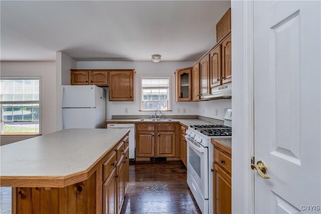 36194 State Route 180, Orleans, NY 13656 - kitchen featuring a sink, under cabinet range hood, dark wood-style floors, white appliances, and light countertops