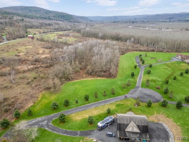 127 Lakeside Ests, Richfield, NY 13439 - photo 4
