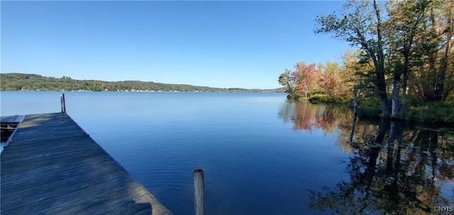 127 Lakeside Ests, Richfield, NY 13439 - photo 5