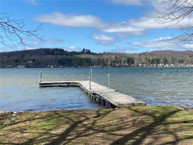 127 Lakeside Ests, Richfield, NY 13439 - photo 6