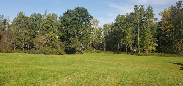 127 Lakeside Ests, Richfield, NY 13439 - photo 15