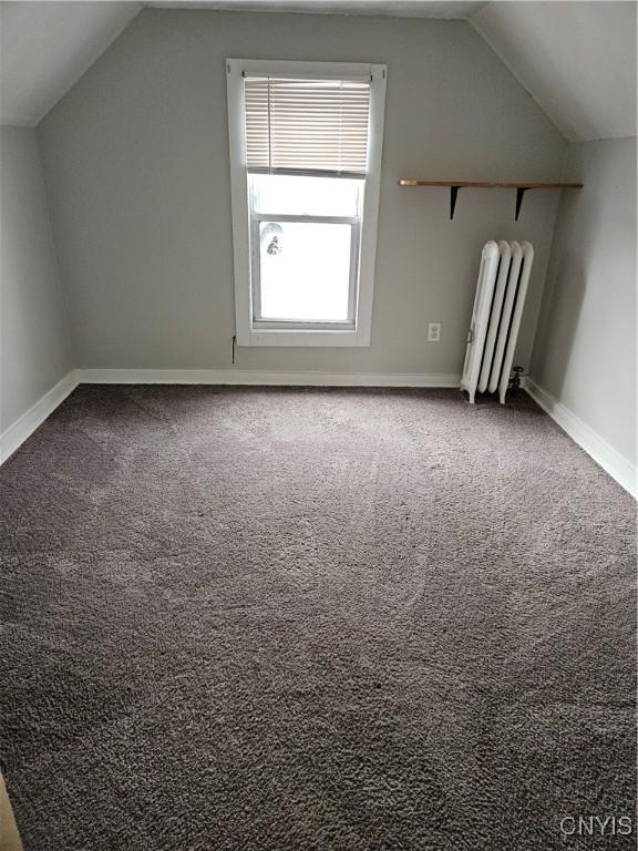 220 Odell Ave, Union, NY 13760 - additional living space featuring baseboards, carpet floors, and vaulted ceiling