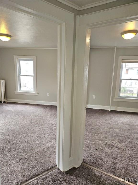 220 Odell Ave, Union, NY 13760 - carpeted spare room with a wealth of natural light, radiator, and ornamental molding