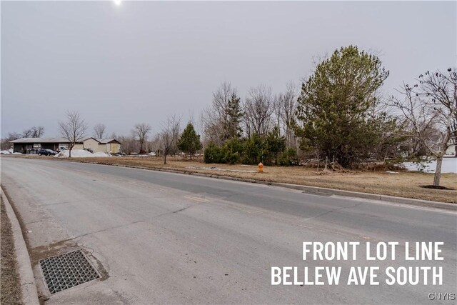 Bellew Ave S, Watertown-City, NY 13601 - photo 11