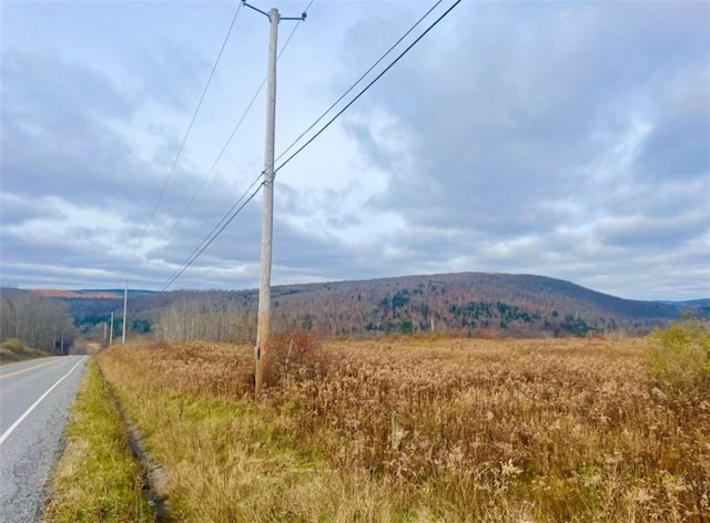 0 County Road 42, Pharsalia NY, 13155 land for sale