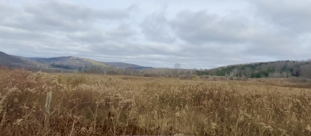 Listing photo 3 for 0 County Road 42, Pharsalia NY 13155