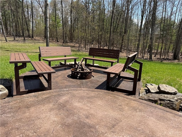 11901 Jolley Way, Corning, NY 14830 - photo 33