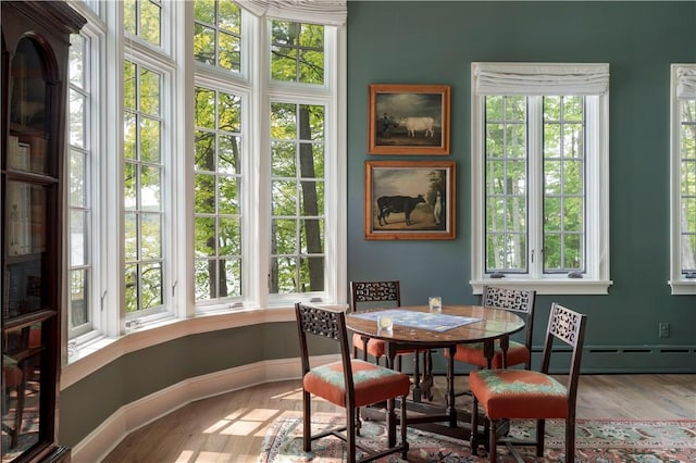 196 Wellington Ln, Springfield, NY 13326 - dining room with baseboard heating, plenty of natural light, and wood finished floors
