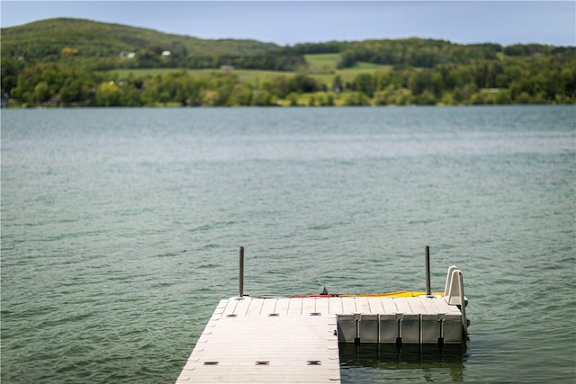 196 Wellington Ln, Springfield, NY 13326 - dock area with a water view