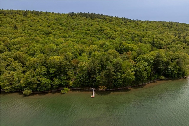 196 Wellington Ln, Springfield, NY 13326 - aerial view of a forest and a nearby body of water